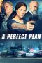 A Perfect Plan (2020)