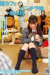 NHDTA-070 The panty-flashing girl at the cat café is so vulnerable she can’t refuse even when touched inappropriately