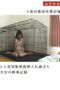 IBW-230 Video record of a girl confined and raised in captivity for 90 days