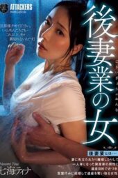ATID-627 Tina Nanami, The Second Wife Business Woman
