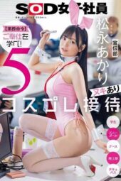 SDJS-325 [Work Order] Learn to Serve! 5 Cosplay Entertainment (with Jerk-Off) Student, Bunny Girl, Nurse, Track & Field Team Member, Succubus, Public Relations Department Member