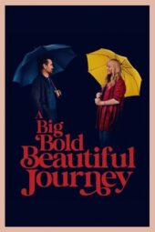 A Big Bold Beautiful Journey (2025) Sub